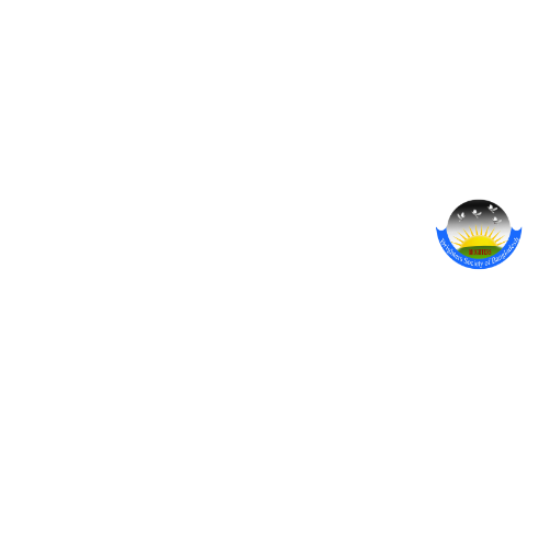 Brighters