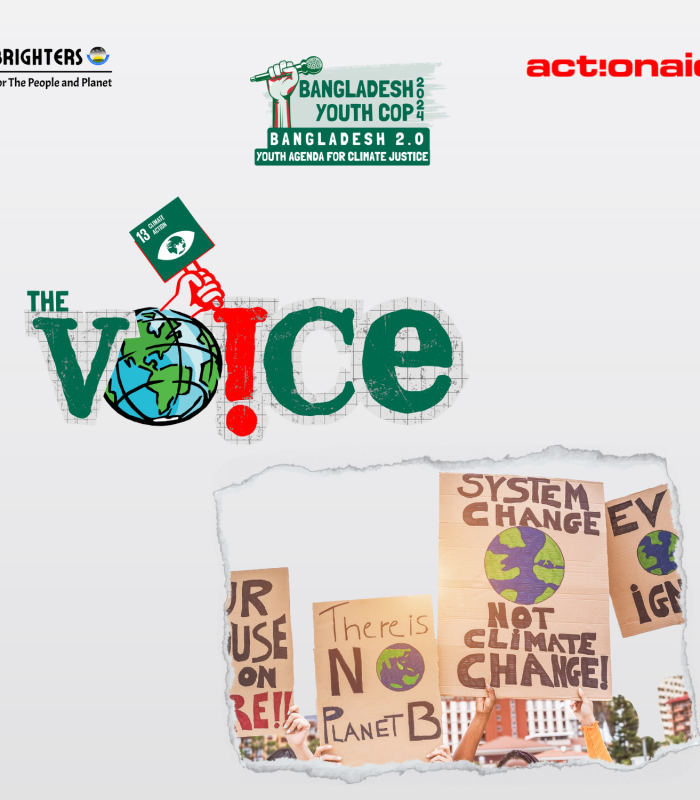 publication-the voice